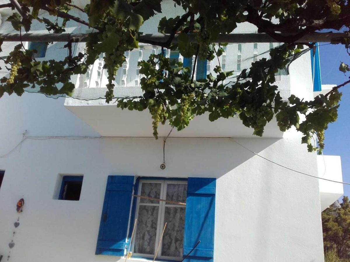 Nikos Apartments Lefkos  Buitenkant foto